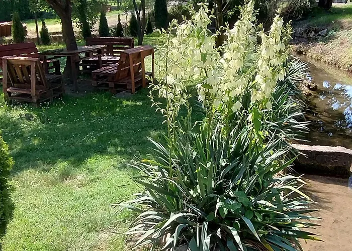 Ivana 2 سوكو بانيا